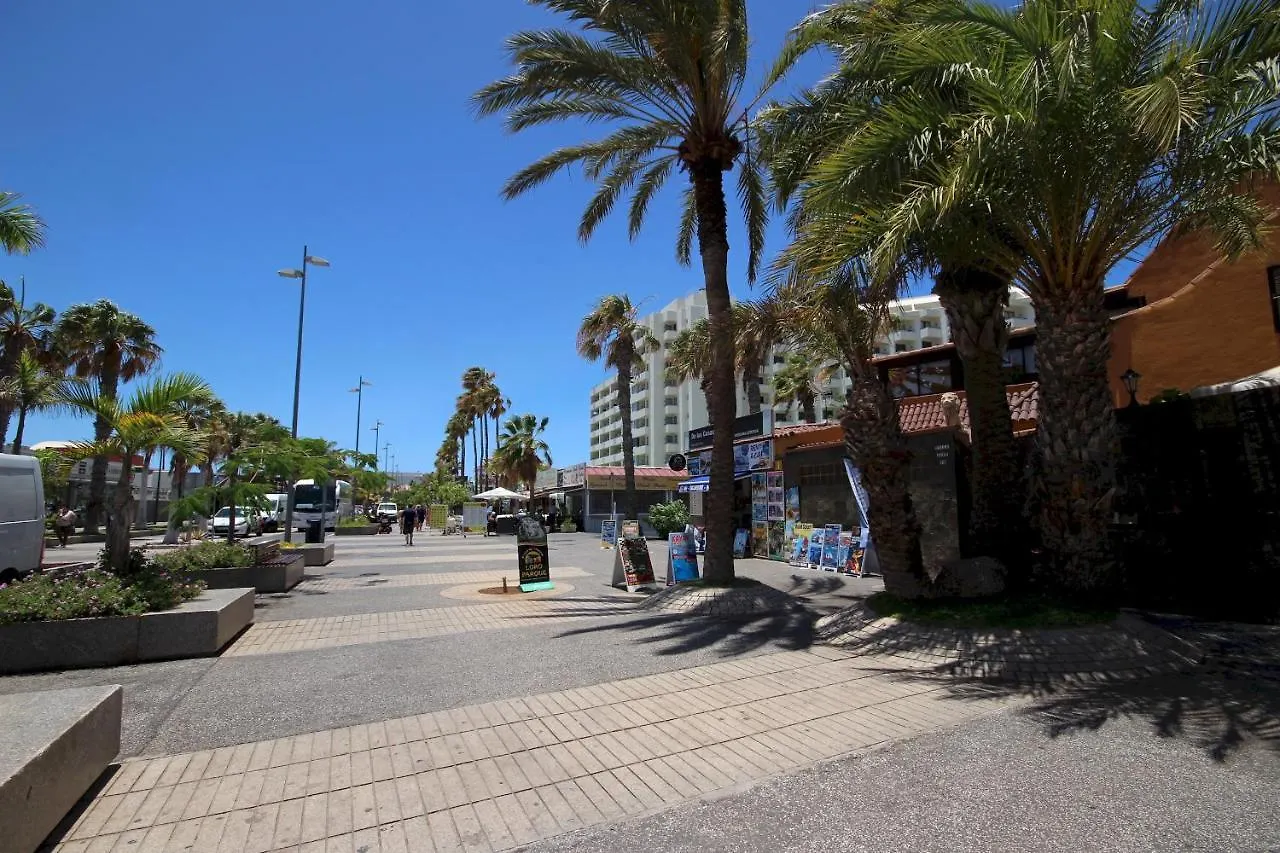 Apartment Discover Las Americas Playa de las Americas  Spain